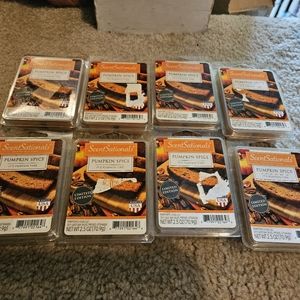 SCENTSATIONALS PUMPKIN SPICE WAX MELT CUBES 2.5 OZ LOT Of 8 New Never Used. Item